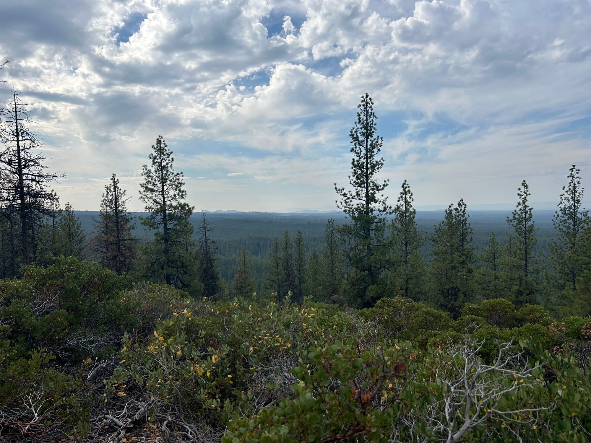 McKay Butte