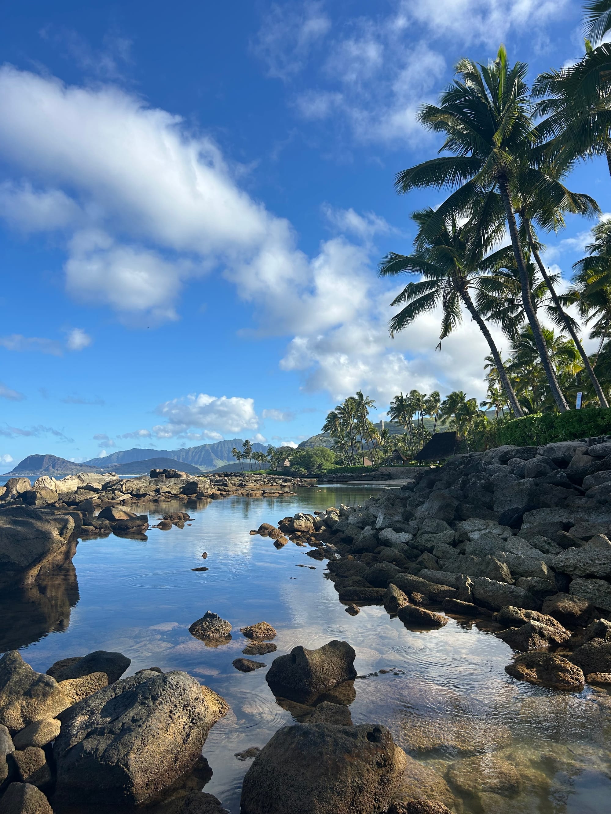 Oahu